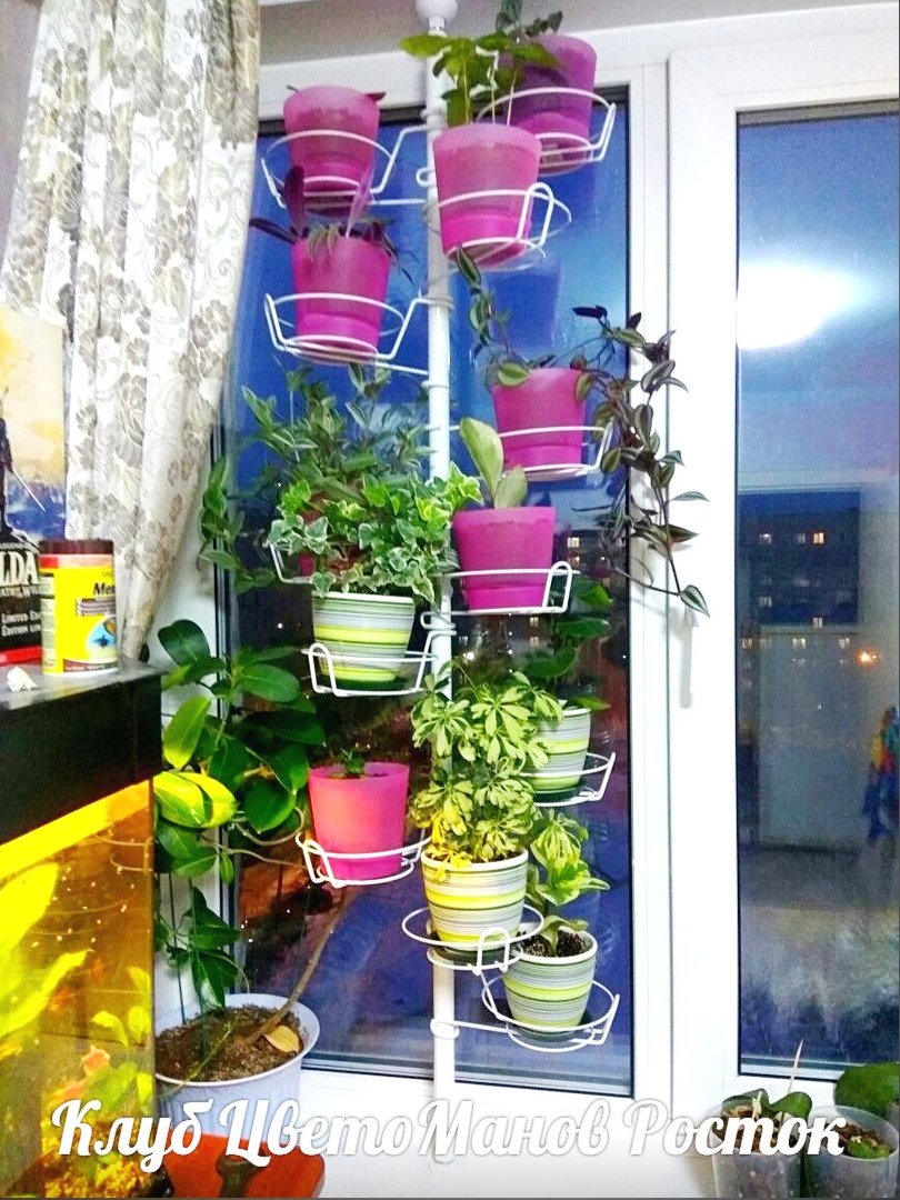 распорка металлическая для растений на окно. Фото N14